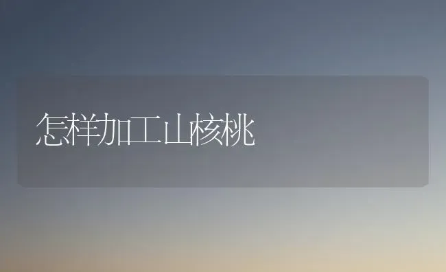 怎样加工山核桃 | 养殖知识