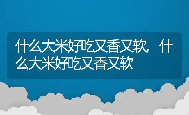 什么大米好吃又香又软,什么大米好吃又香又软 | 养殖科普