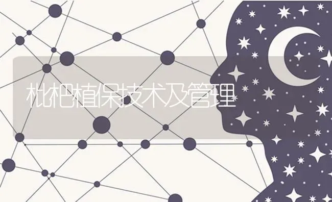 枇杷植保技术及管理 | 养殖知识