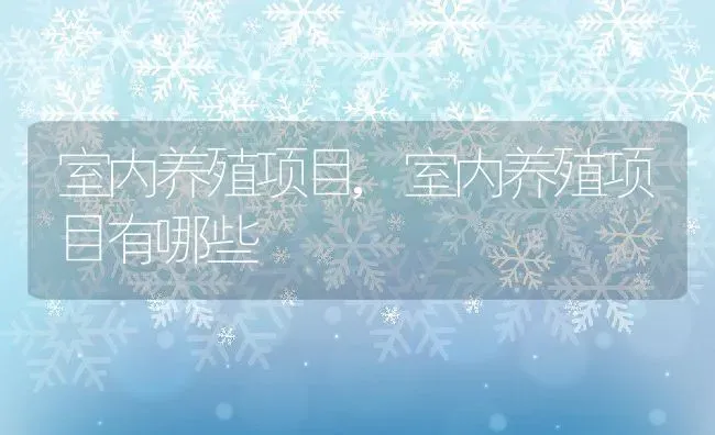 室内养殖项目,室内养殖项目有哪些 | 养殖科普