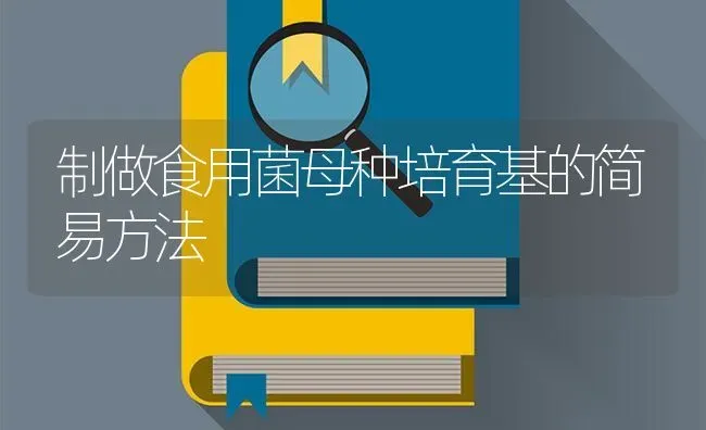制做食用菌母种培育基的简易方法 | 养殖技术大全
