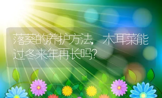落葵的养护方法,木耳菜能过冬来年再长吗？ | 养殖科普
