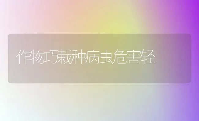 作物巧栽种病虫危害轻 | 养殖技术大全