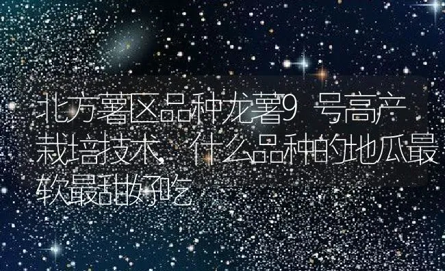 北方薯区品种龙薯9号高产栽培技术,什么品种的地瓜最软最甜好吃 | 养殖学堂