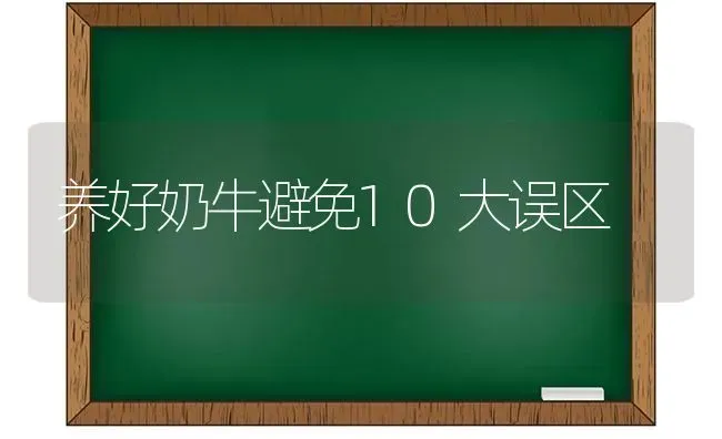 养好奶牛避免10大误区 | 养殖知识