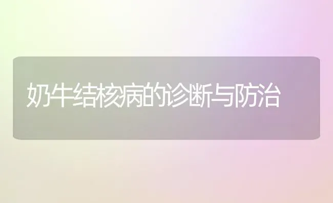 奶牛结核病的诊断与防治 | 养殖知识