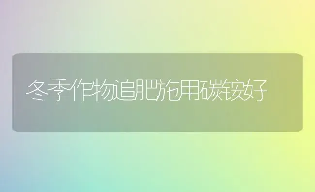 冬季作物追肥施用碳铵好 | 养殖技术大全