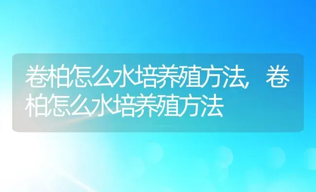 卷柏怎么水培养殖方法,卷柏怎么水培养殖方法 | 养殖科普