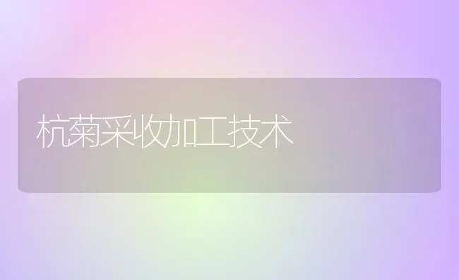 杭菊采收加工技术 | 养殖技术大全