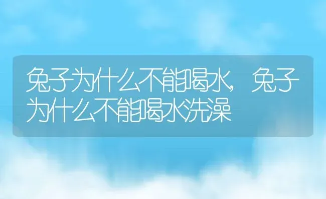 兔子为什么不能喝水,兔子为什么不能喝水洗澡 | 养殖资料