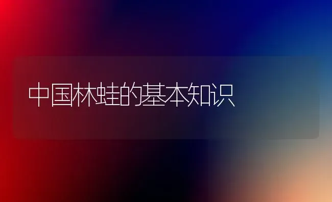 中国林蛙的基本知识 | 养殖技术大全