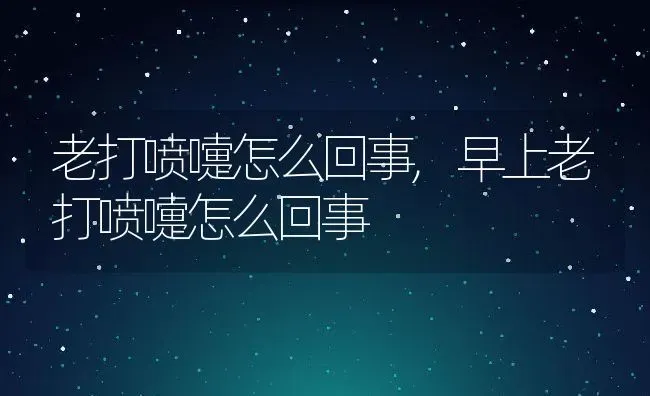 老打喷嚏怎么回事,早上老打喷嚏怎么回事 | 养殖资料