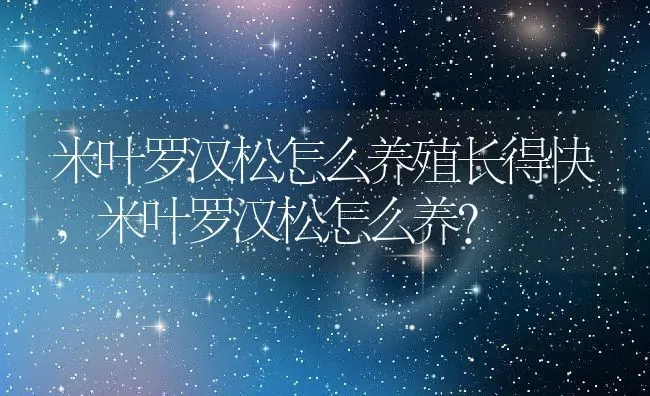 米叶罗汉松怎么养殖长得快,米叶罗汉松怎么养？ | 养殖科普