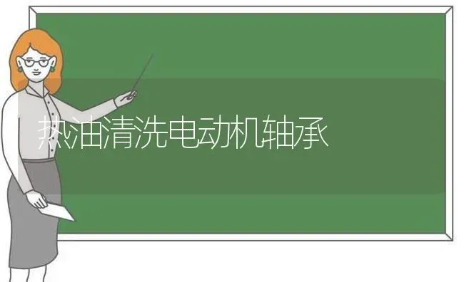 热油清洗电动机轴承 | 养殖知识