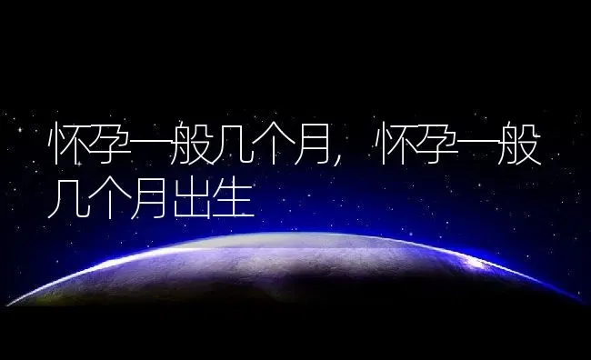 怀孕一般几个月,怀孕一般几个月出生 | 养殖资料