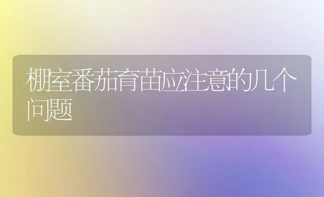 棚室番茄育苗应注意的几个问题 | 养殖知识