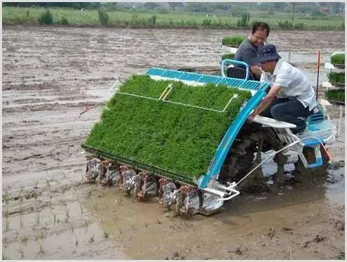 水稻穴播机的调整使用与故障排除方法 | 三农知识