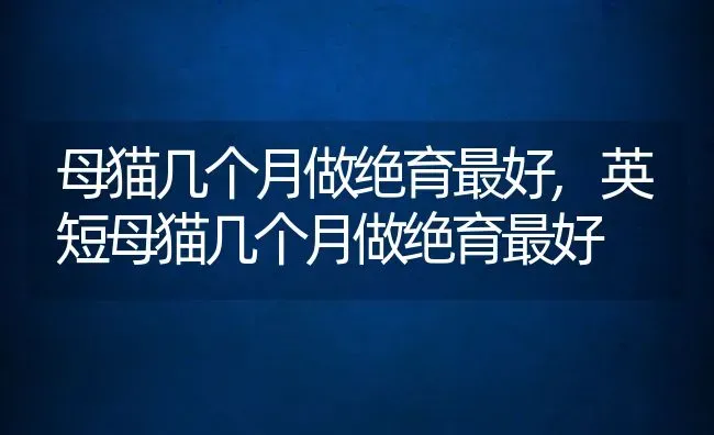 母猫几个月做绝育最好,英短母猫几个月做绝育最好 | 养殖资料