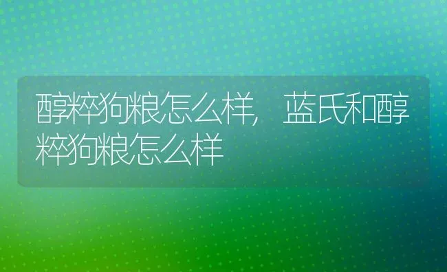 醇粹狗粮怎么样,蓝氏和醇粹狗粮怎么样 | 养殖资料