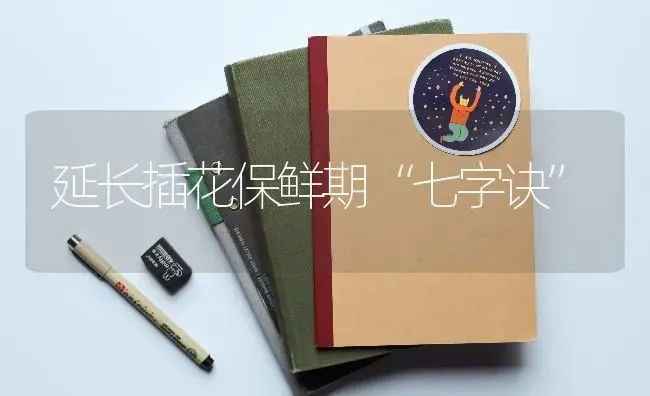 延长插花保鲜期“七字诀” | 养殖知识