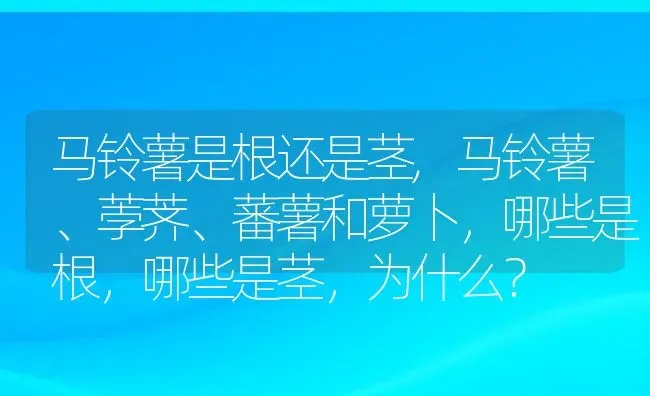 马铃薯是根还是茎,马铃薯、荸荠、蕃薯和萝卜，哪些是根，哪些是茎，为什么？ | 养殖科普