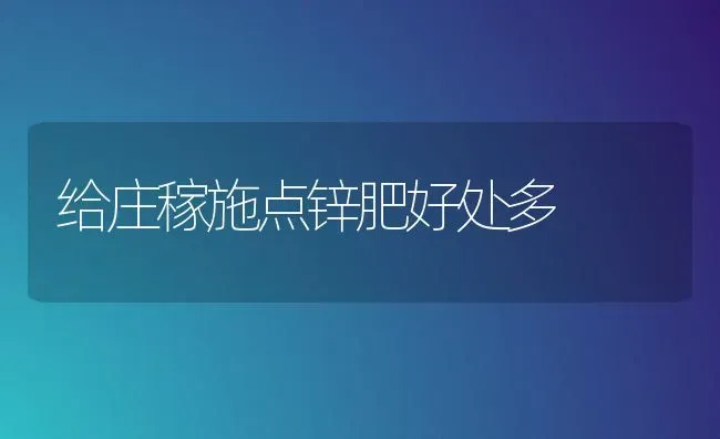给庄稼施点锌肥好处多 | 养殖技术大全