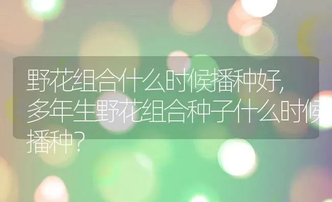 野花组合什么时候播种好,多年生野花组合种子什么时候播种？ | 养殖科普