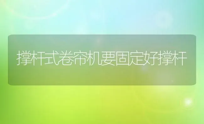 撑杆式卷帘机要固定好撑杆 | 养殖知识