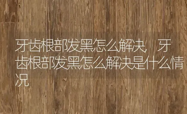 牙齿根部发黑怎么解决,牙齿根部发黑怎么解决是什么情况 | 养殖科普