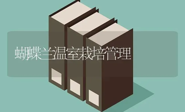 蝴蝶兰温室栽培管理 | 养殖知识