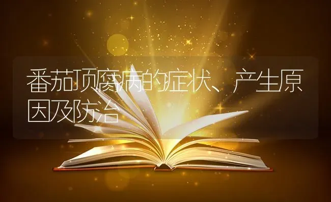 番茄顶腐病的症状、产生原因及防治 | 养殖技术大全