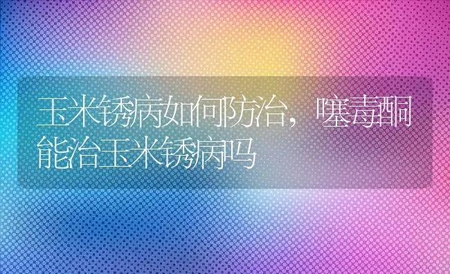 养鸡技术:10个常见养鸡问答总结,怎样养殖母鸡 | 养殖学堂