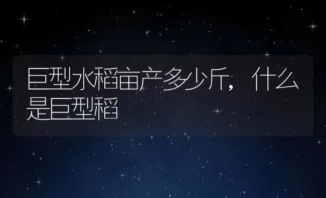 巨型水稻亩产多少斤,什么是巨型稻 | 养殖学堂