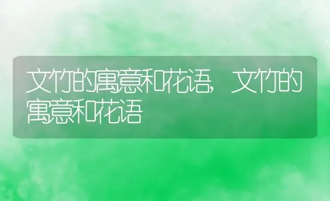 文竹的寓意和花语,文竹的寓意和花语 | 养殖科普