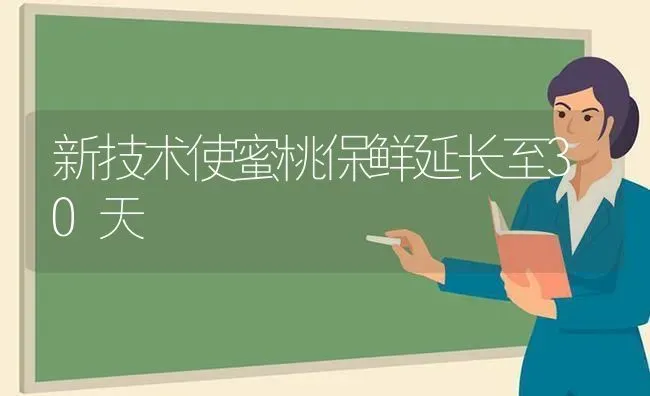 新技术使蜜桃保鲜延长至30天 | 养殖技术大全