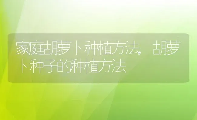 家庭胡萝卜种植方法,胡萝卜种子的种植方法 | 养殖学堂