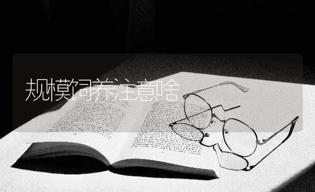 规模饲养注意啥 | 养殖知识