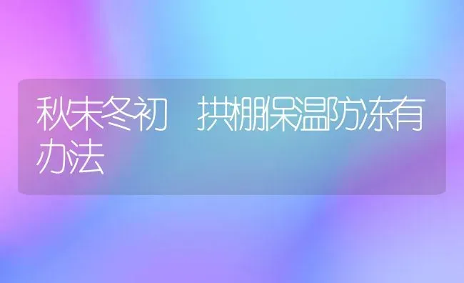 秋末冬初 拱棚保温防冻有办法 | 养殖技术大全