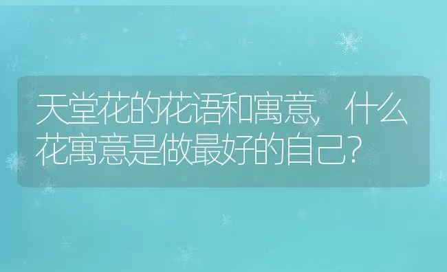 天堂花的花语和寓意,什么花寓意是做最好的自己？ | 养殖科普