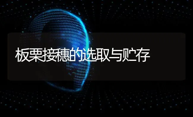 板栗接穗的选取与贮存 | 养殖技术大全