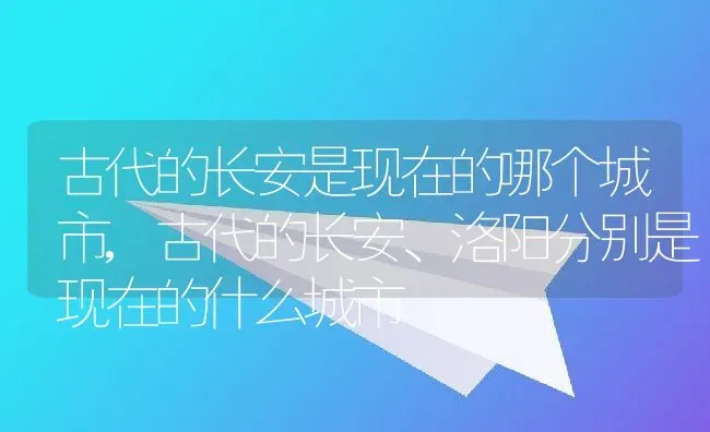 古代的长安是现在的哪个城市,古代的长安、洛阳分别是现在的什么城市 | 养殖学堂