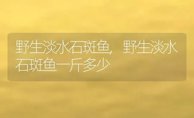 野生淡水石斑鱼,野生淡水石斑鱼一斤多少 | 养殖科普