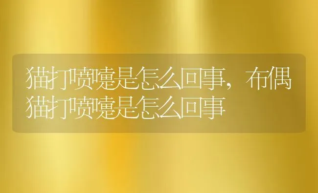 猫打喷嚏是怎么回事,布偶猫打喷嚏是怎么回事 | 养殖科普
