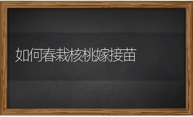 如何春栽核桃嫁接苗 | 养殖技术大全