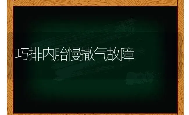 巧排内胎慢撒气故障 | 养殖知识