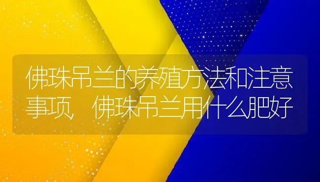 佛珠吊兰的养殖方法和注意事项,佛珠吊兰用什么肥好 | 养殖学堂