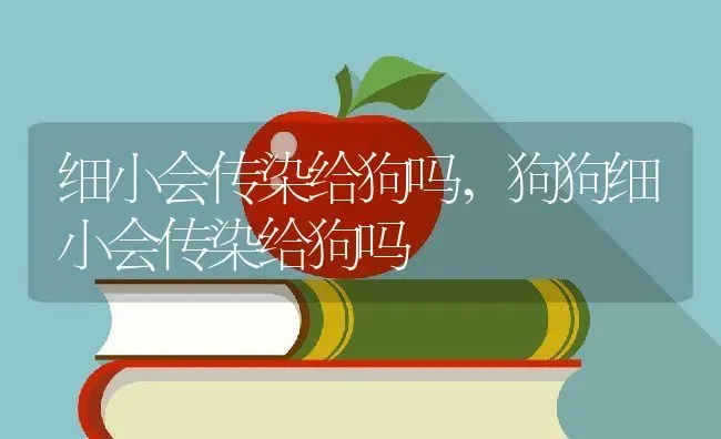 细小会传染给狗吗,狗狗细小会传染给狗吗 | 养殖科普