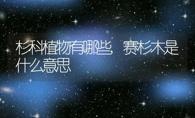 杉科植物有哪些,赛杉木是什么意思 | 养殖学堂