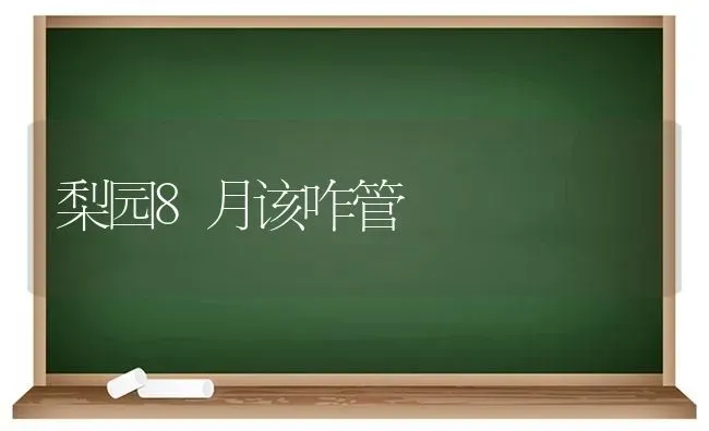 梨园8月该咋管 | 养殖技术大全