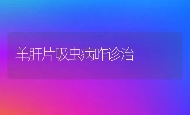 大姜患姜瘟病怎么办 | 养殖技术大全